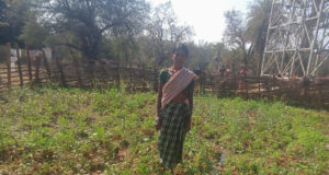 महतारी वंदन योजना से बदली जिंदगी की तस्वीर : श्रीमती सुखी पुनेम बनीं आत्मनिर्भरता और पोषण की मिसाल….