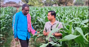 धान से मक्का की ओर बढ़ते कदम :फसलचक्र परिवर्तन से धमतरी के किसानों की बढ़ी आय, जल संरक्षण को मिली नई दिशा….