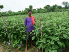 तखतपुर के किसानों ने अपनाई उन्नत खेती, बढ़ी कमाई, परंपरागत खेती छोड़ आधुनिक खेती से बदली तकदीर….