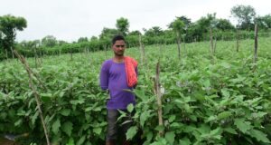 तखतपुर के किसानों ने अपनाई उन्नत खेती, बढ़ी कमाई, परंपरागत खेती छोड़ आधुनिक खेती से बदली तकदीर….