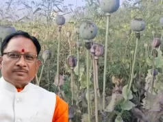 अफीम की खेती पर सख्त हुए मुख्यमंत्री विष्णु देव साय, संलिप्त लोगों के विरुद्ध की गई कड़ी कार्रवाई…..