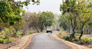 पोलमपल्ली से अरलमपल्ली सड़क बनने से खुश है ग्रामीण, नक्सल गढ़ में विकास की नई जीत….