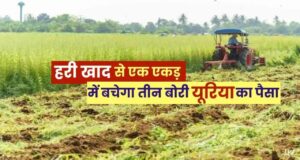 हरी खाद- खेती में बढ़ेगा उत्पादन, मिट्टी की सेहत होगी बेहतर….