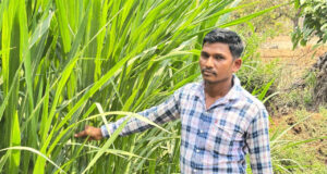 मजदूरी की बेड़ियां तोड़ ‘मल्टी-फार्मिंग’ के नायक बने ललित यादव, 6 गायों से शुरू हुआ डेयरी का सफर, आज 25 उन्नत पशुओं के साथ लिख रहे सफलता की इबारत…..