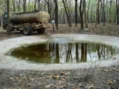 भीषण गर्मी में वन्यजीवों के लिए ‘संजीवनी’ बना बारनवापारा, जल प्रबंधन का ऐसा मॉडल जो पूरे देश के लिए बना मिसाल…..