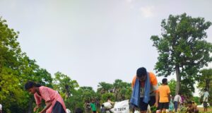 सुकमा में तेंदूपत्ता संग्रहण तेज़ी से जारी, 35 हजार से अधिक बोरे का हुआ संग्रहण….