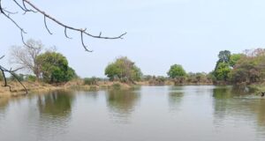 नहरों से सूखते तालाबों में जलभराव : भीषण गर्मी से बड़ी राहत, 4755 तालाब हुए लबालब, ’मुख्यमंत्री साय की मंशा के अनुरूप सूखते तालाबों को जीवनदान देने जल संसाधन विभाग का विशेष अभियान….