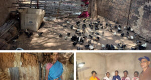 नियद नेल्लानार योजना: कच्चापाल जलप्रपात के पास 'इन्द्रावती समूह' की महिलाएँ मुर्गी पालन से लिख रहीं आत्मनिर्भरता की नई इबारत…..