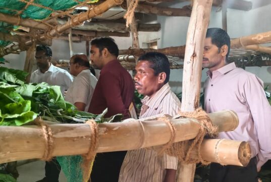 बस्तर संभाग में रेशम विकास कार्यों की समीक्षा…..