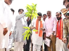 एक पेड़ मां के नाम” अभियान के तहत प्रभारी मंत्री टंकराम वर्मा ने किया पौधारोपण……