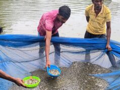 स्पान संवर्धन योजना बनी महिला किसान की आय का नया जरिया, दो महीने में 15 हजार रुपये की कमाई, अब अंगुलिका उत्पादन से बढ़ाएंगी आमदनी….