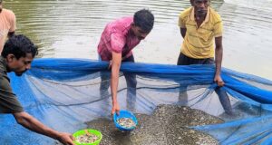 स्पान संवर्धन योजना बनी महिला किसान की आय का नया जरिया, दो महीने में 15 हजार रुपये की कमाई, अब अंगुलिका उत्पादन से बढ़ाएंगी आमदनी….