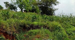 सौर सुजला योजना-किसानों के खेतों तक पहुंची सूरज की रोशनी, बढ़ी सिंचाई की ताकत….