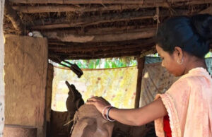 गणपति बप्पा की मिट्टी की प्रतिमा बनाकर बस्तर की महिलाओं ने हुनर से कमाए 1.80 लाख रुपए…..