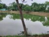 सारंगढ़-बिलाईगढ़ में जल-क्रांति, समृद्ध किसान – सशक्त को कर रहा है साकार……