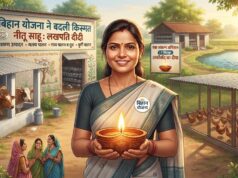 बिहान योजना ने बदली किस्मत, 4 आजीविका साधनों से प्रतिमाह 80 हजार कमाकर ‘लखपति दीदी’ बनीं छत्तीसगढ़ की नीतू साहू…