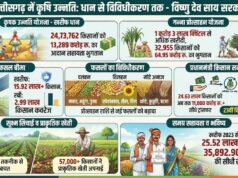 आधुनिक और नगदी फसलों की खेती ने बदली छत्तीसगढ़ के किसानों की तकदीर, खेती ने पकड़ी नई रफ्तार, खेत से बाजार तक बदल रही तस्वीर…..
