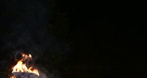 वित्त मंत्री ओ.पी. चौधरी ने महाअष्टमी पर माँ दुर्गा की पूजा-अर्चना कर प्रदेशवासियों की सुख-समृद्धि की कामना की….