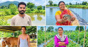 अन्नदाता के सम्मान से समृद्ध गांवों तक: कृषि और ग्रामीण विकास की नई दिशा, धान खरीदी से बाजार का भरोसा, सौर सिंचाई से बहुफसली खेती और जल संरक्षण से मजबूत हो रहा कृषि का आधार….